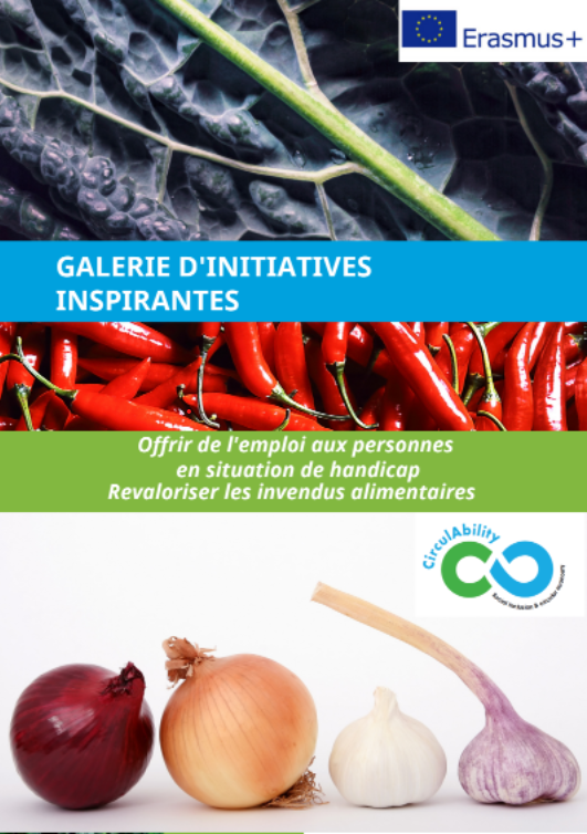 galerie_circulability